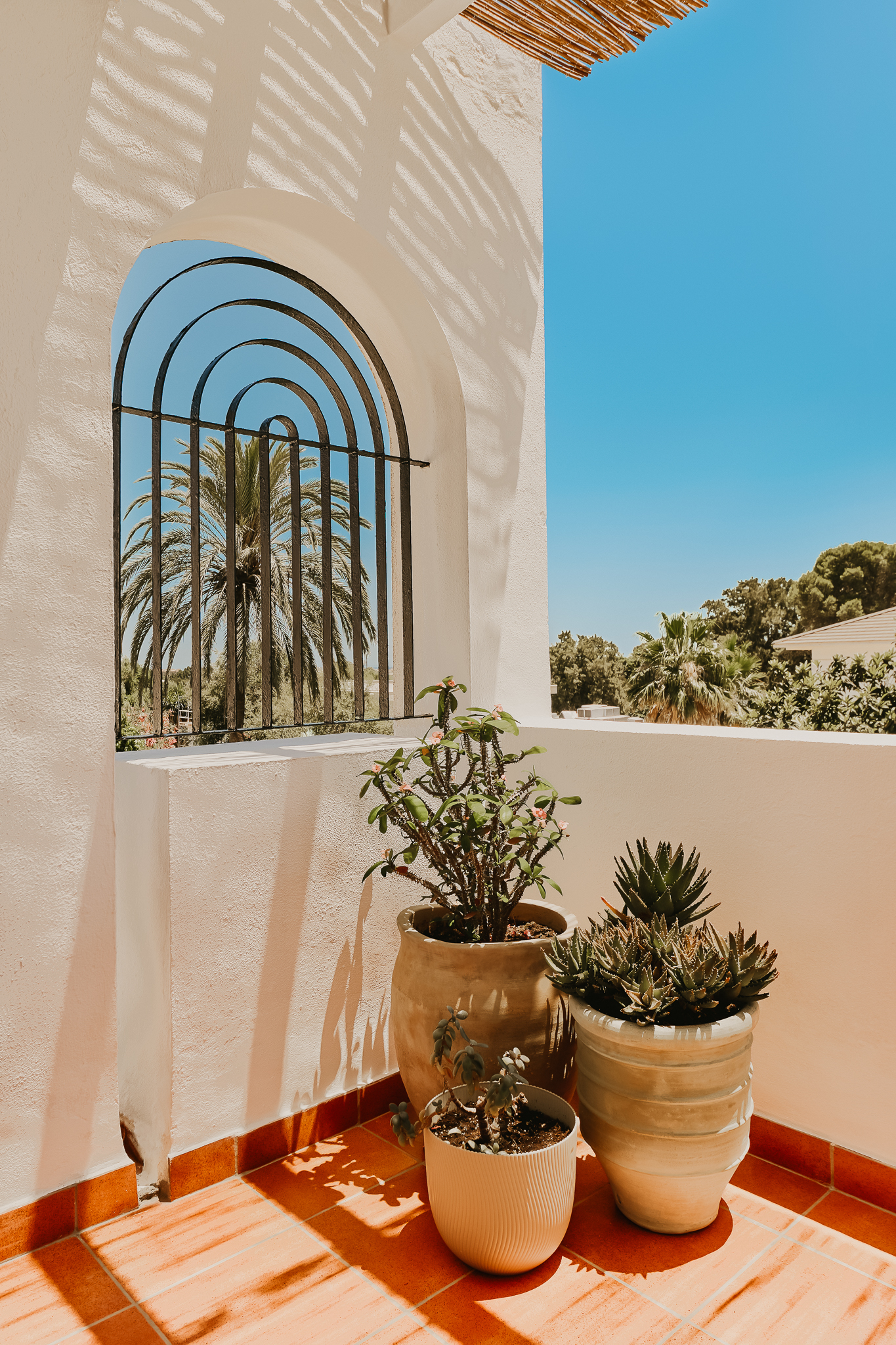Terrace Plants