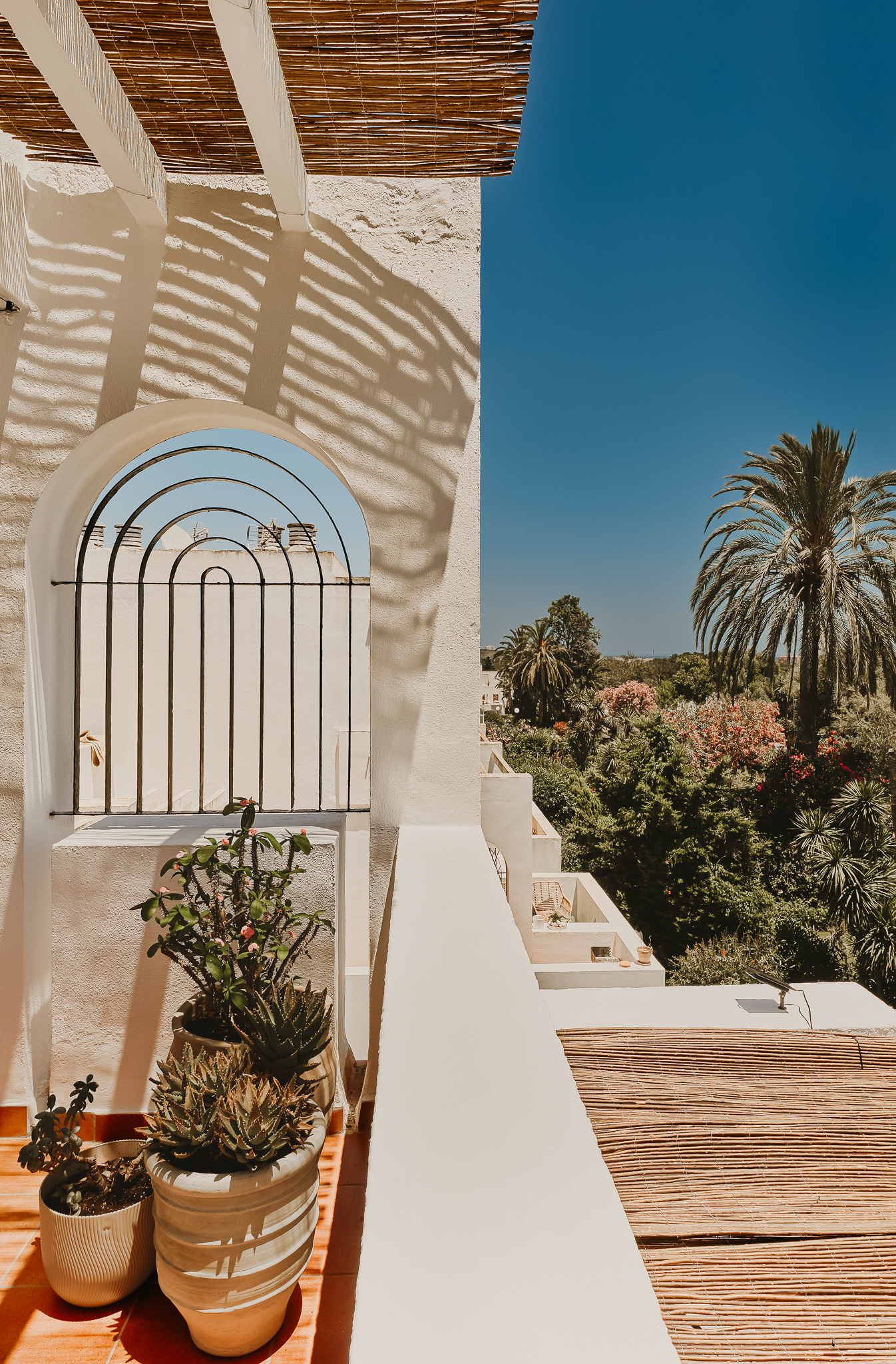 Terrace View