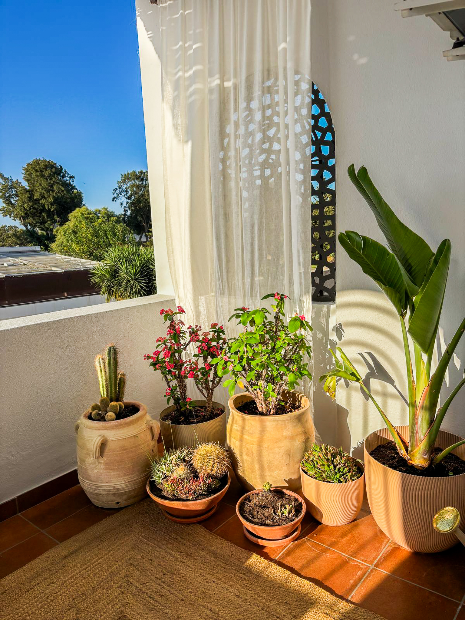 Terrace Dining Table